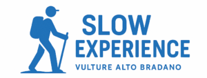 Slow Experience