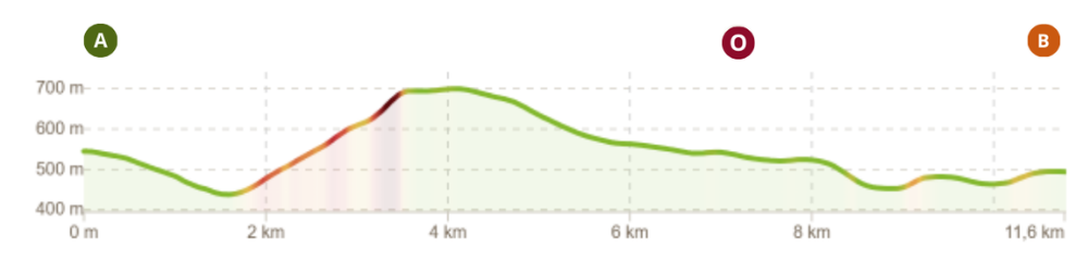 Elevation profile of the route from Ripacandida to Atella