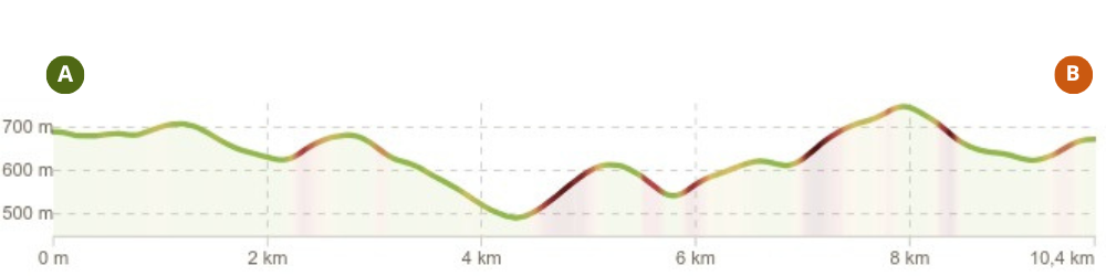Profilo altimetrico del percorso da Oppido Lucano a Cancellara lungo i tratturi storici